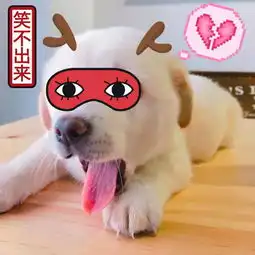 臭美不花钱,好玩又好看的各种贴纸app,让你票圈的逼格十级跳
