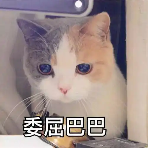隔离一个月,我只教会了妈妈这条护肤黄金法则
