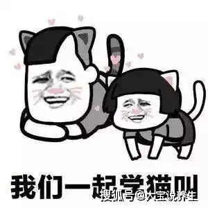 幽默段子以前吧,没有钱,但是很快乐
