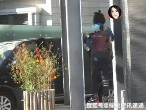 50岁王菲罕见现身健身房扎丸子头身材纤细
