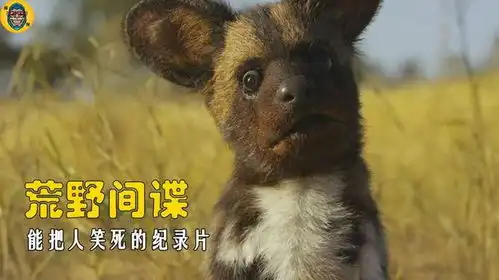 当机器间谍混入野生动物中,带你看看逗逼的动物世界,太搞笑了
