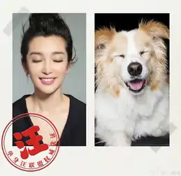 李冰冰晒照自嘲单身汪表情搞怪逗趣惹人爱青岛新闻网

