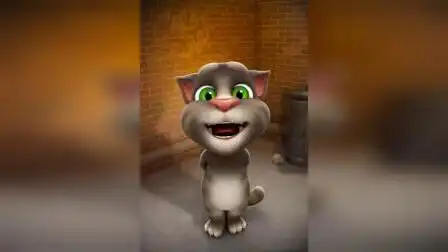 汤姆猫
