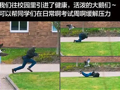 搞笑趣图十三岁的我以为我的二十岁vs我真正的二十岁
