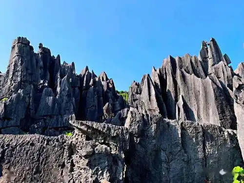 尊享政府补贴8月781415号贺州十八水瀑布群畅玩山泉水泳池瑶城富川神剑石林赠送富川梨超值纯玩2日游
