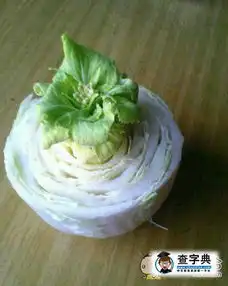 白菜帮子开花了搞笑图片
