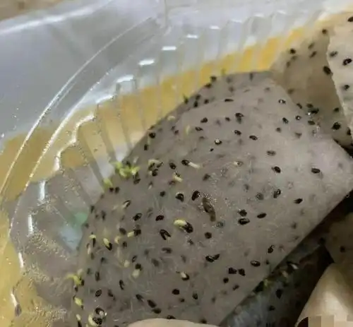 搞笑趣图这东西怎么越看越熟悉,是火龙果吗哈哈哈哈
