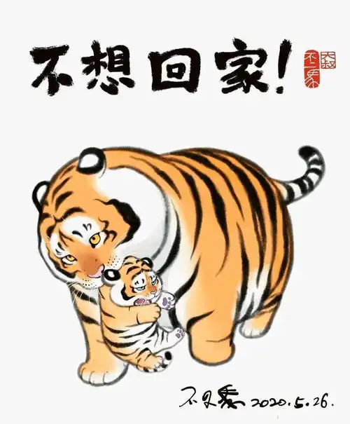 一只治愈人心灵的胖虎
