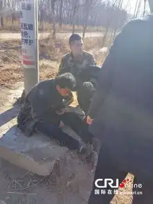 秦皇岛一农民讨薪未果在电线杆上吊消防官兵偶遇施救图
