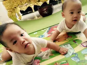 陈明真全家福曝光深夜为孩子庆祝半岁生日
