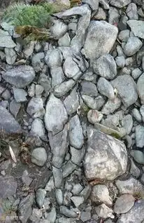 搞笑图片亮点自寻,无法直视
