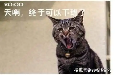 我要准时下班任性,是职场最昂贵的奢侈品
