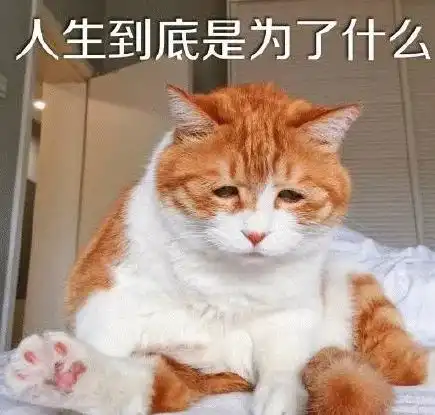 警惕湿冷精出没中东部深陷低温雨雪
