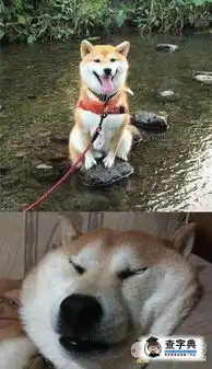 不正经起来自己都怕搞笑图片
