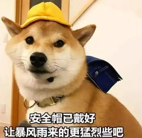 幽默笑话昨天哥们冻感冒了,就打算去医院输液
