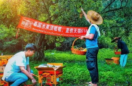 在线直播为国带货泰国副总理连线淘宝女王
