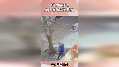 神兽的搞笑日常,狗子心想,我到底怎么惹到这个祖宗了
