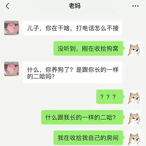 老妈最近是怎么了沙雕聊天搞笑视频
