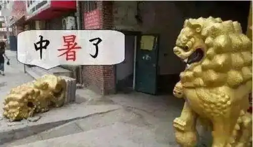 搞笑段子姑娘,我钱被偷了,你帮我看看附近有监控吗
