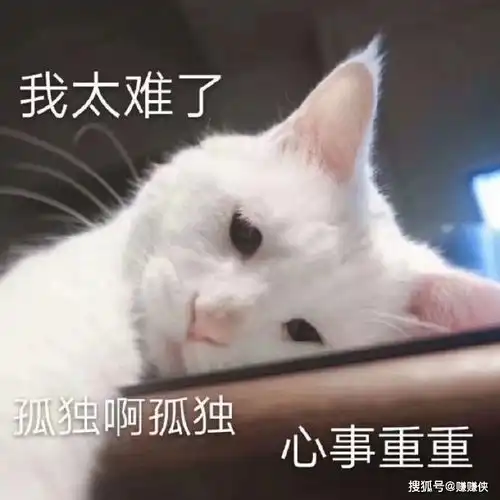 搞笑表情包图片委屈的时候
