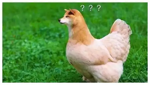 每日一笑大兄弟,看你答题行云流水,一定是学霸无疑了
