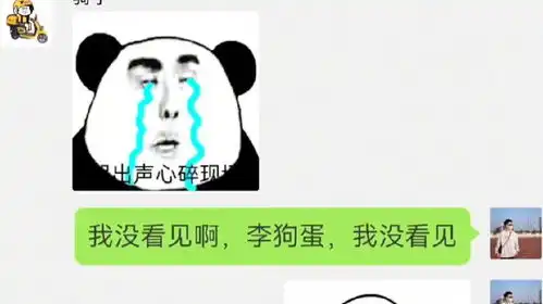 狗蛋哥,我啥都没看见聊天记录神对话搞笑奇葩外卖
