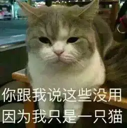 供铲屎官参考,创意宠物家居为家增添喵星元素
