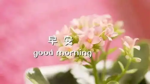 朋友圈早安图片朋友圈早安唯美语录句子
