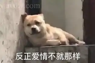 王思聪历代女友图鉴后宫又添新宠刺激
