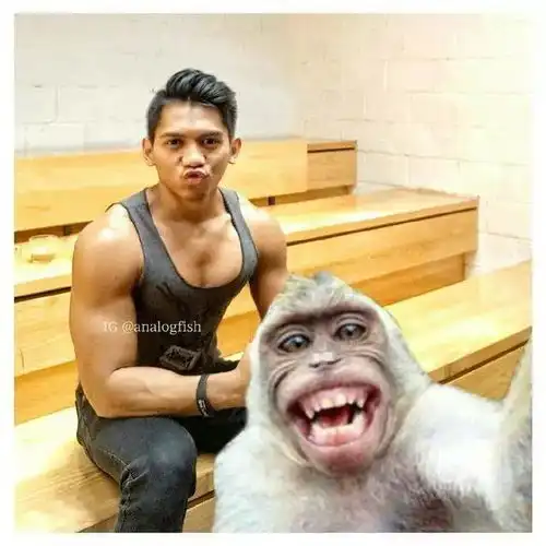 肌肉男与猴子比帅我觉得他已经输了
