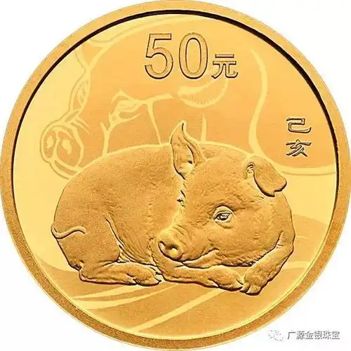 这是一只不一般的猪
