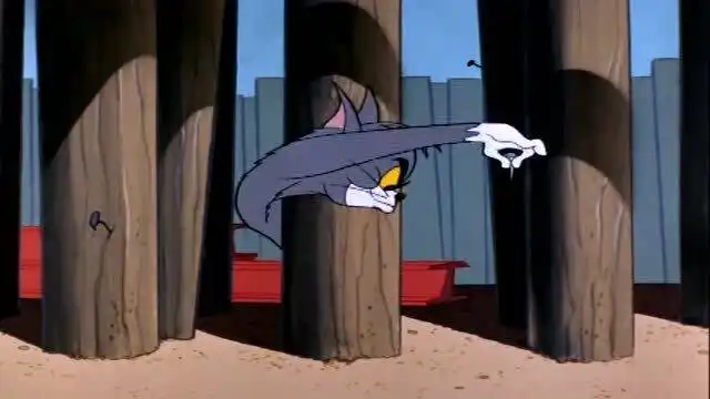 猫和老鼠汤姆爆笑追杰瑞,倒霉的还是自己
