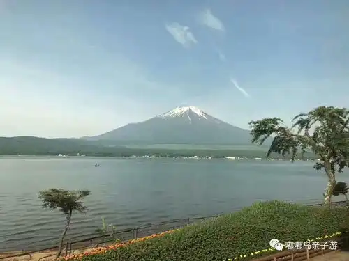 日本名古屋东京直飞六日游,去富士山下走一走
