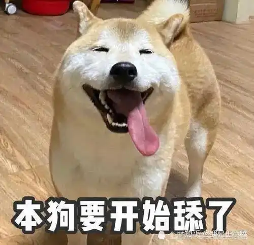 不想聊就不聊了呗摆什么臭架子
