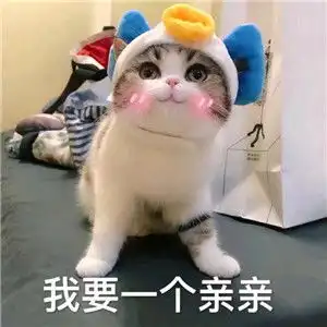 萌萌哒的喵星人微信带字表情包妹子专用喵星人表情包

