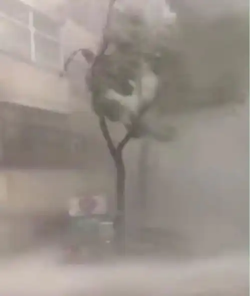 全北京都在等一场今年最强大暴雨,然而
