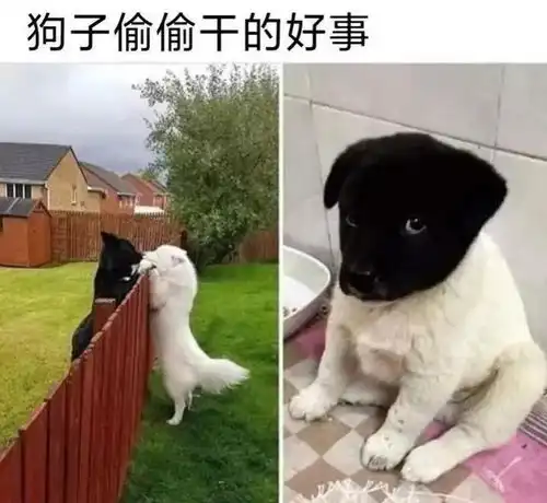 今日笑话皮肤差的原因
