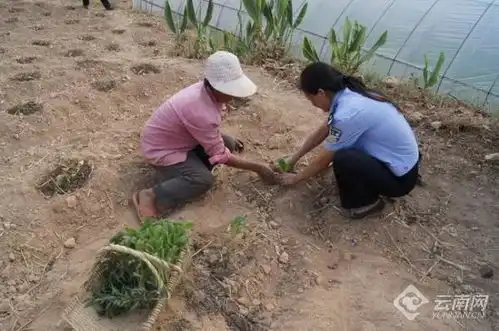 组图丨致敬华坪警营里的她们
