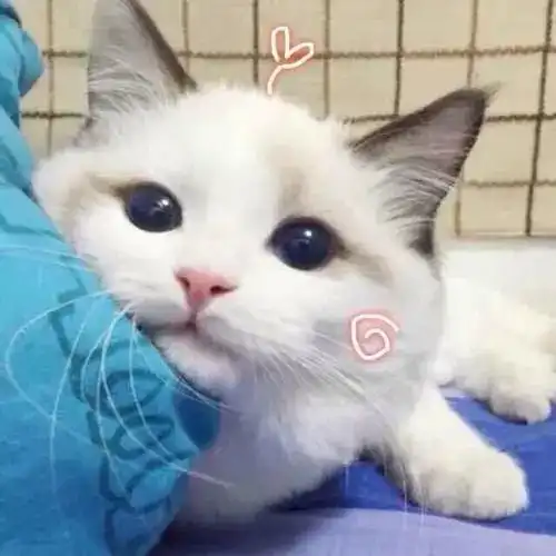 滴滴在吗本期男神女神已上线,快来看看吧
