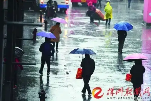 寒风冷雨,株洲彻底入冬阴雨天将持续到
