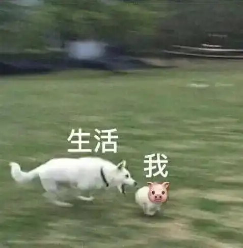 医生护士工作时的表情包,太形象了
