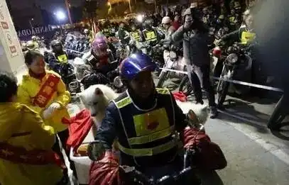 春运摩托车大军中主人给狗狗留了个位置,养了十年了,带它回家过年
