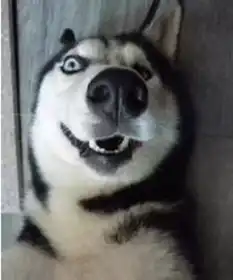 临沂易盛
