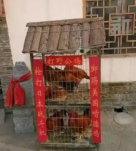 搞笑图片幽默段子笑话女朋友要参观我宿舍,现在她在楼下了,我该怎么办
