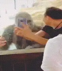 搞笑gif我拿你当兄弟,你却娶我姐
