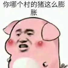 搞笑gif趣图你只是看到了我的成功,确不知道我经历了什么
