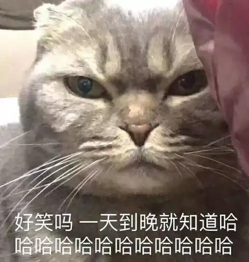 济南周末去哪玩让我们一起去万圣节夜场鬼混吧
