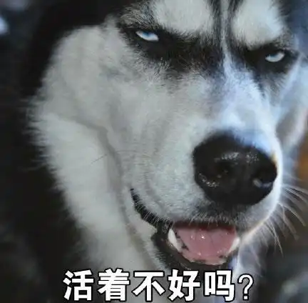 搞笑段子猫星人,你这睡姿,我只能说太销魂了
