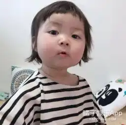 宋民国长大了没关系本吸娃达人已经找到新民咕咕了,真香
