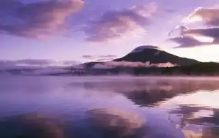 夏天想去北海道看花海这篇总能帮到你
